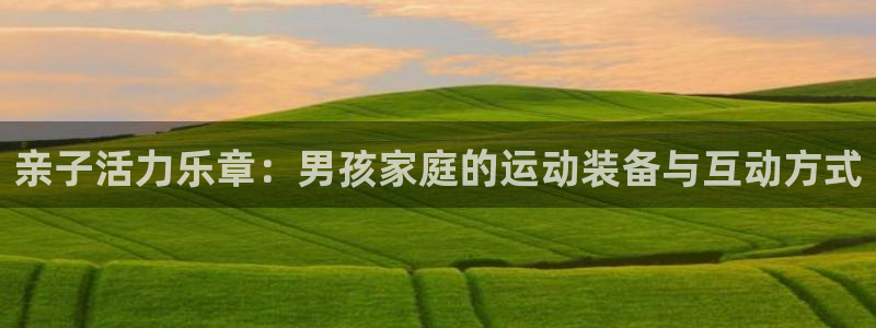 球客岛官网下载平台注册：亲子活力乐章：男孩家庭的运动