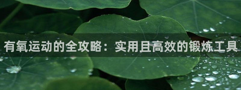 球客岛官网下载招商电话