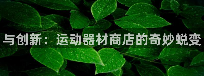 球客岛官方正版app官方：与创新：运动器材商店的奇妙蜕变