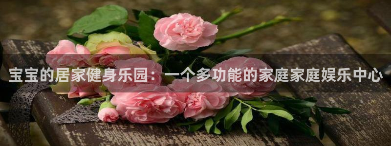 球客岛官方正版app集团：宝宝的居家健身乐园：一个多功能的家