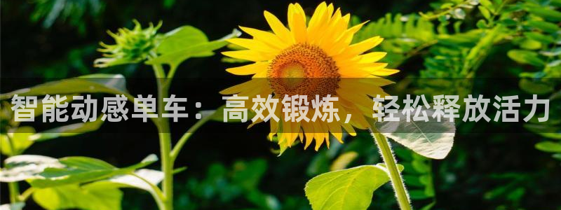 球客岛官网下载平台是正规平台吗安全吗