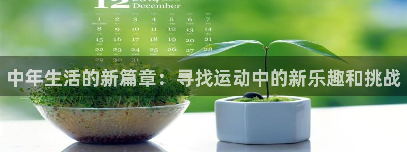 球客岛官网下载平台注册要钱吗：中年生活的新篇章：寻找