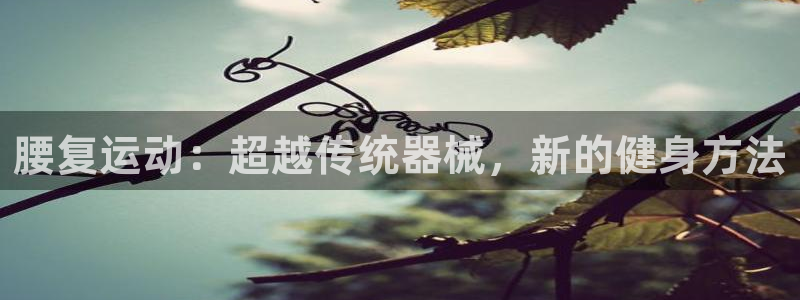 球客岛官方正版app代理：腰复运动：超越传统器械，新