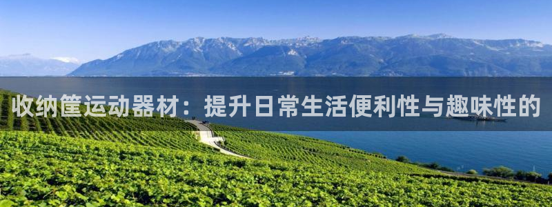 球客岛官方正版app集团官网首页网址：收纳筐运动器材