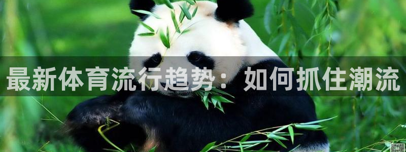 哈哈体育十年