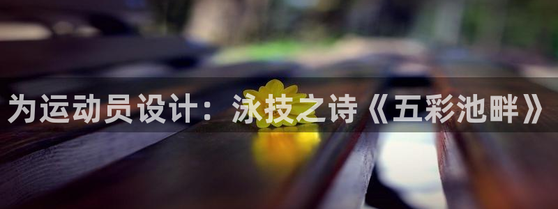 哈哈体育十年