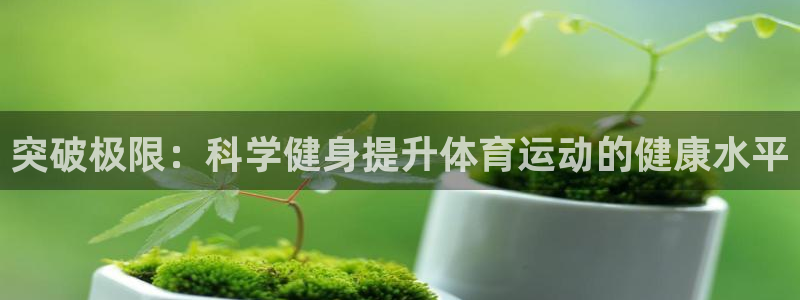 哈哈体育十年