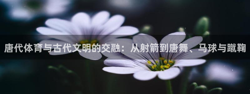 哈哈体育十年