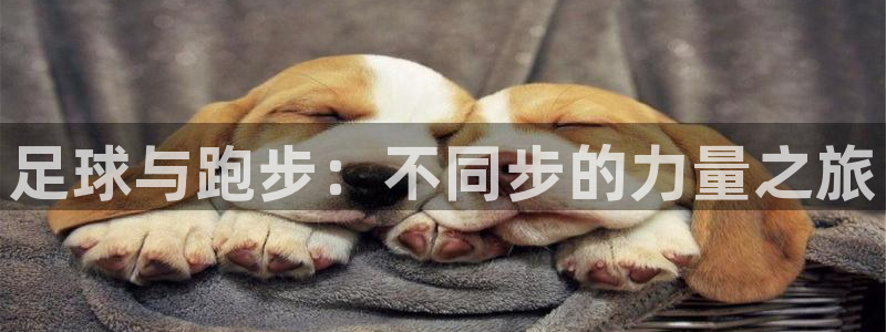 哈哈体育十年：足球与跑步：不同步的力量之旅