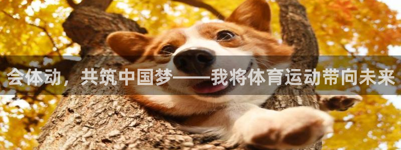 哈哈体育十年