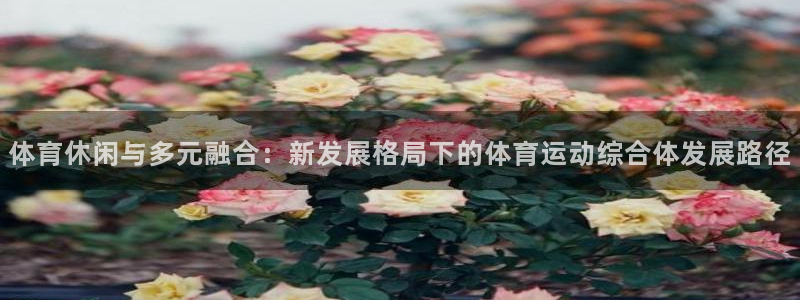 哈哈体育下载