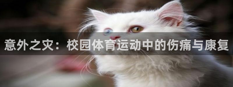 哈哈体育下载：意外之灾：校园体育运动中的伤痛与康复
