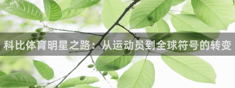哈哈体育十年